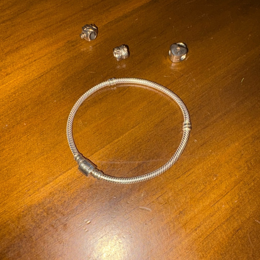 Pandora Charm Bracelet